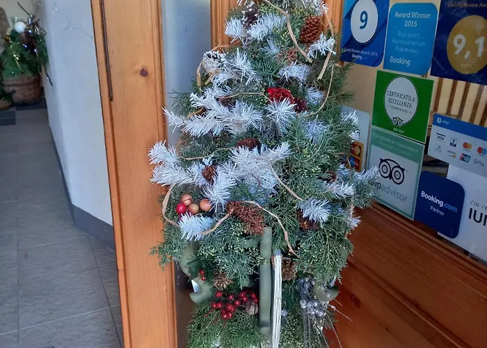 Aghinas 招待所 博萨